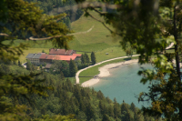 Desselkopf Reginas Fotos)