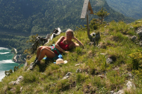 Desselkopf Reginas Fotos)