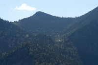 Desselkopf Reginas Fotos)
