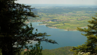 Desselkopf Vronis Fotos)