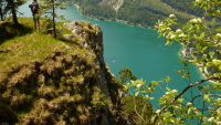 Desselkopf Vronis Fotos)