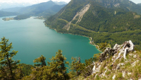 Desselkopf Vronis Fotos)
