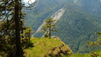 Desselkopf Vronis Fotos)