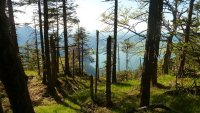 Desselkopf Vronis Fotos)