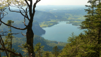 Desselkopf Vronis Fotos)