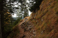 von Walchensee zum Herzogstandhaus (1570m)