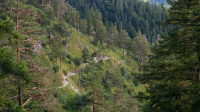 von Walchensee zum Herzogstandhaus (1570m)