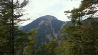 von Walchensee zum Herzogstandhaus (1570m)