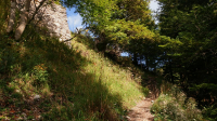 von Walchensee zum Herzogstandhaus (1731m)
