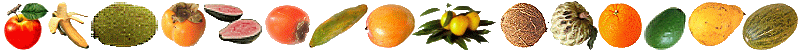 Früchte
